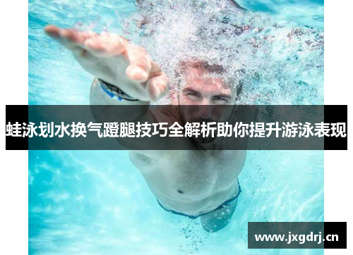 蛙泳划水换气蹬腿技巧全解析助你提升游泳表现
